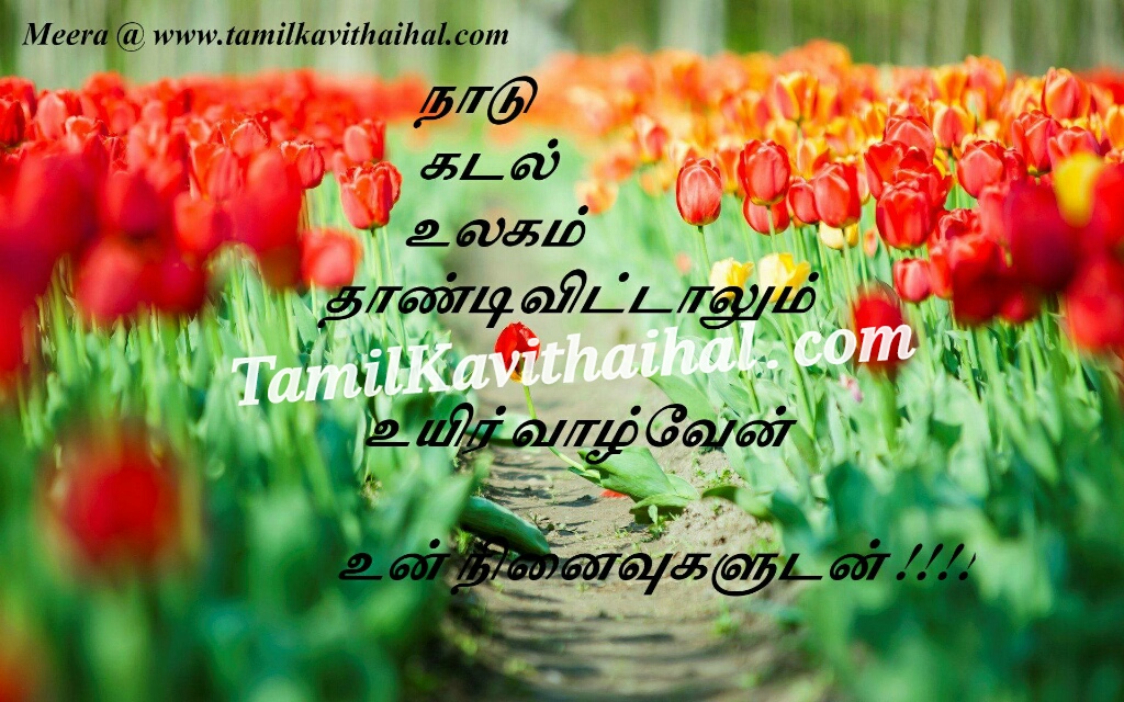 banumathi movie in tamil download